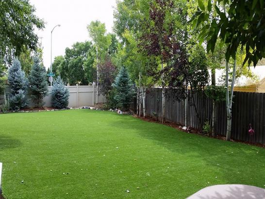 Artificial Grass Photos: Synthetic Turf Supplier Anacortes, Washington Landscaping Business, Backyard Landscaping