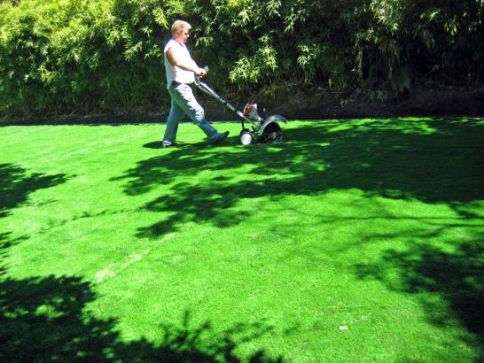 Artificial Grass Photos: Synthetic Turf Supplier Clallam Bay, Washington Garden Ideas, Backyard Design