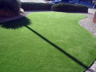 Artificial Grass Photos: Synthetic Turf Supplier Fox Island, Washington Lawn And Landscape, Front Yard