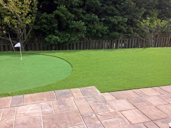 Artificial Grass Photos: Synthetic Turf Supplier Kendall, Washington Indoor Putting Green, Small Backyard Ideas