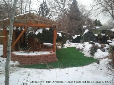 Synthetic Turf Supplier Kirkland, Washington Lawns, Cold Weather artificial grass