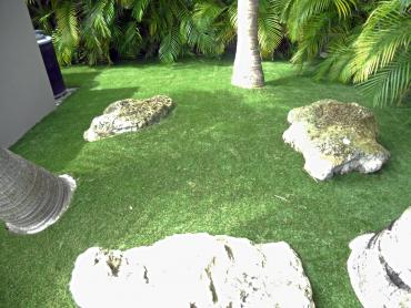 Artificial Grass Photos: Synthetic Turf Supplier Lake Stevens, Washington Backyard Playground, Backyard Designs