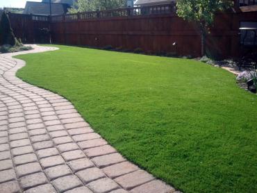 Artificial Grass Photos: Synthetic Turf Supplier Monroe, Washington Backyard Playground, Backyard Makeover