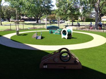 Artificial Grass Photos: Synthetic Turf Supplier Sedro-Woolley, Washington Landscape Photos, Commercial Landscape