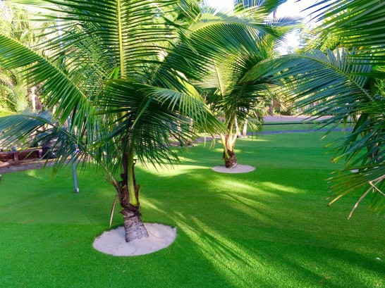 Artificial Grass Photos: Synthetic Turf Supplier Tracyton, Washington Landscaping, Commercial Landscape
