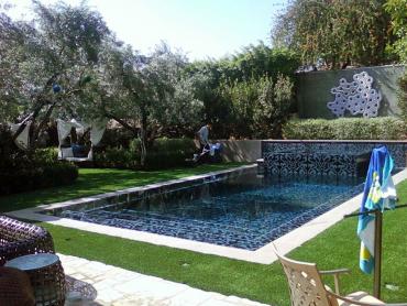 Artificial Grass Photos: Synthetic Turf Supplier Twisp, Washington Landscaping Business, Swimming Pool Designs
