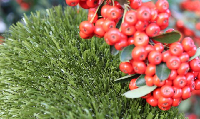 Fake Grass For Dogs