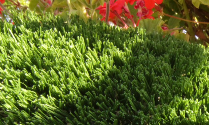 Hollow Blade-73 syntheticgrass Artificial Grass Washington