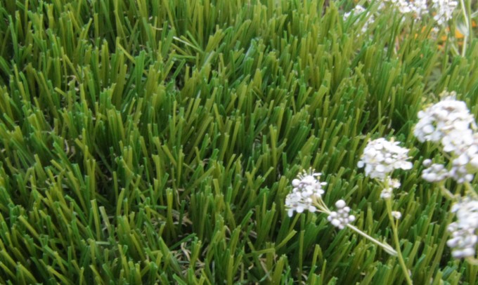 V Blade-64 syntheticgrass Artificial Grass Washington