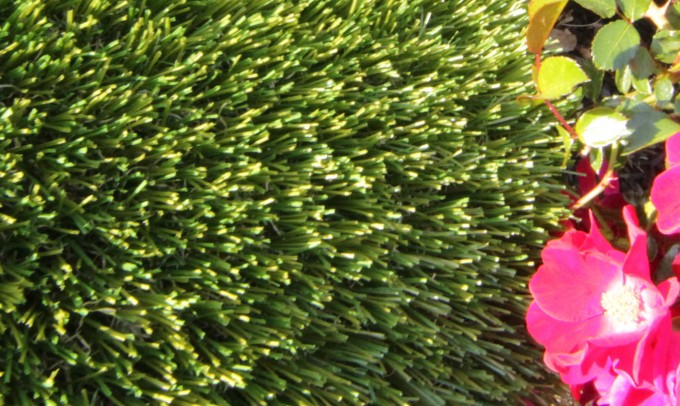 V Blade-77 syntheticgrass Artificial Grass Washington