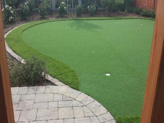 Artificial Grass Photos: Turf Grass Amanda Park, Washington Home Putting Green, Backyard Makeover