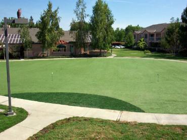 Artificial Grass Photos: Turf Grass Asotin, Washington Diy Putting Green, Commercial Landscape