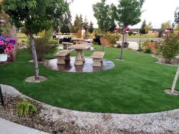 Artificial Grass Photos: Turf Grass Bryn Mawr-Skyway, Washington Landscape Photos, Commercial Landscape