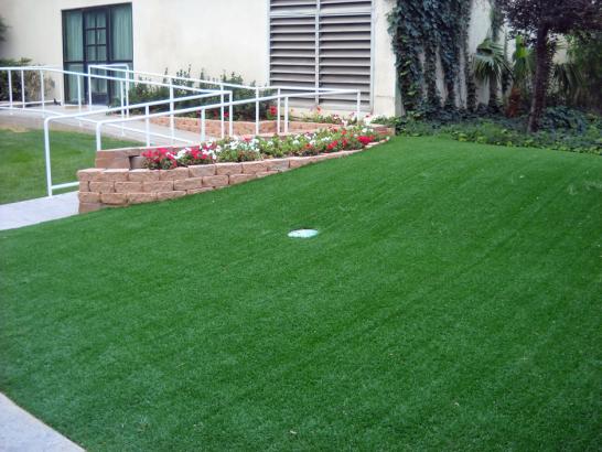 Artificial Grass Photos: Turf Grass Elbe, Washington Backyard Putting Green, Front Yard Landscaping Ideas