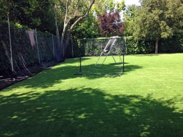 Artificial Grass Photos: Turf Grass Fife Heights, Washington Lawn And Garden, Small Backyard Ideas