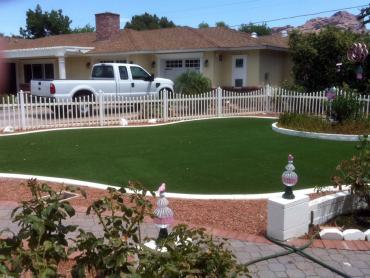 Artificial Grass Photos: Turf Grass Gig Harbor, Washington Landscape Design, Front Yard Ideas