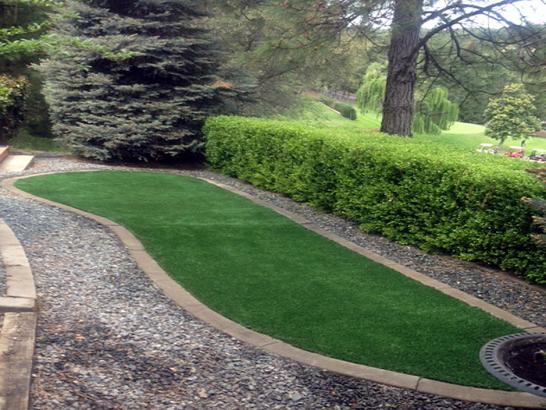 Artificial Grass Photos: Turf Grass Latah, Washington Landscaping