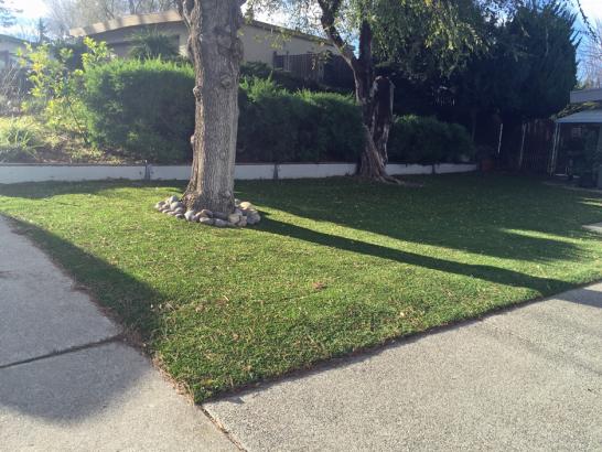 Artificial Grass Photos: Turf Grass Newcastle, Washington Landscaping, Front Yard