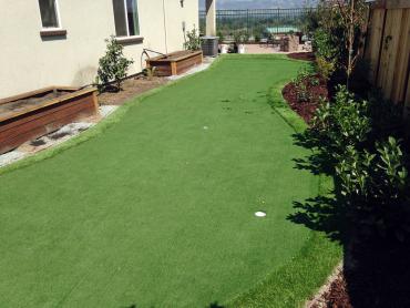 Artificial Grass Photos: Turf Grass Rochester, Washington Landscaping Business, Backyard Ideas