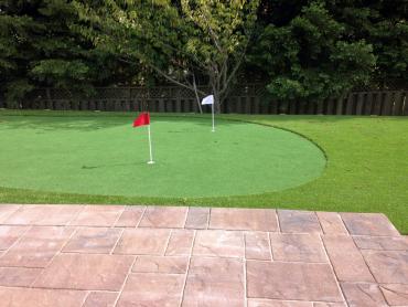 Artificial Grass Photos: Turf Grass Rosalia, Washington Landscaping, Beautiful Backyards