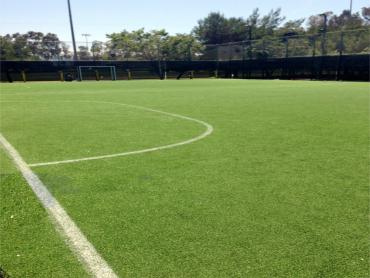 Artificial Grass Photos: Turf Grass Tulalip, Washington Bocce Ball Court