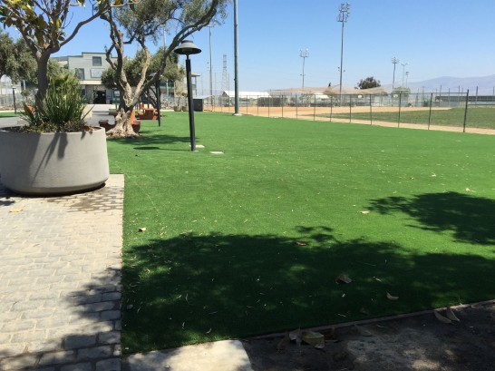 Artificial Grass Photos: Turf Grass Venersborg, Washington Landscape Ideas, Recreational Areas