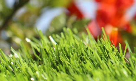 Synthetic Grass Wholesale