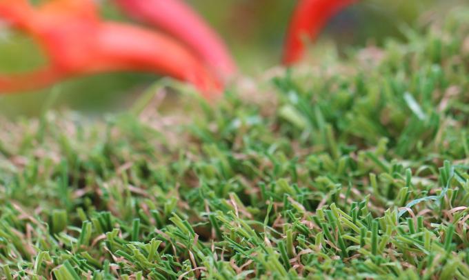 Natural Looking Synthetic Turf Grass