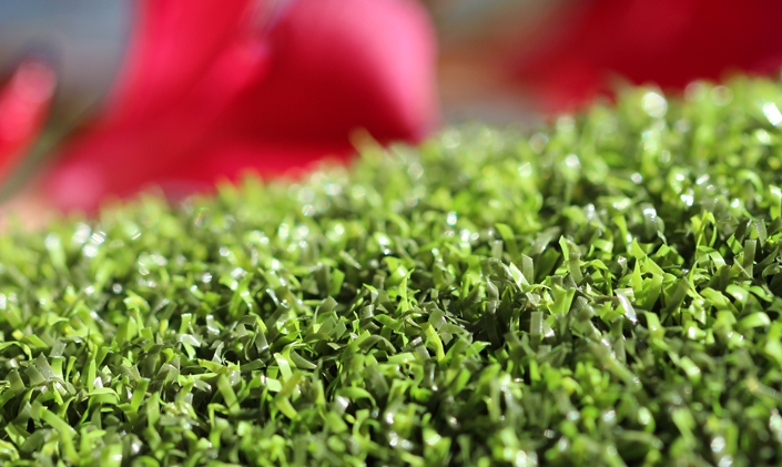 Artificial Grass Pro Putt-44 Artificial Grass Washington