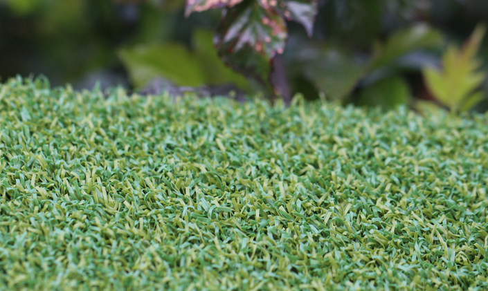 Artificial Grass Putt-46 BiColor Artificial Grass Washington