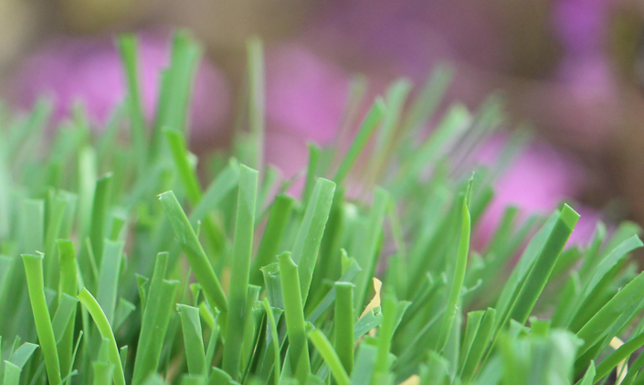 Artificial Grass Emerald-52 Artificial Grass Washington