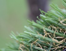 Playground Synthetic Grass