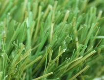Synthetic Turf Grass