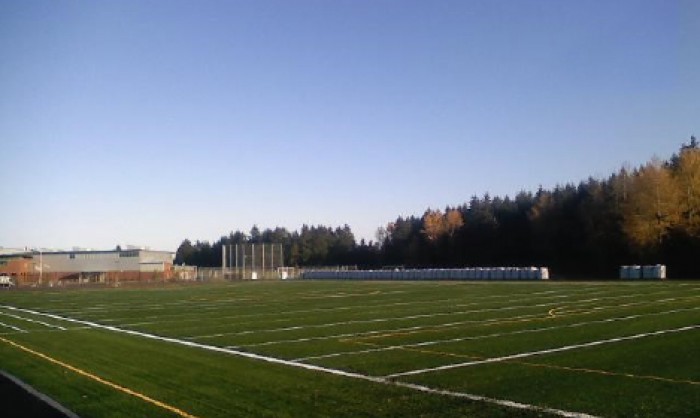 Sports Fields Synthetic Grass in Washington